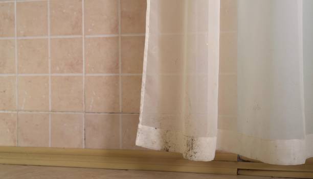  Lockeford, CA Mold Removal Pros