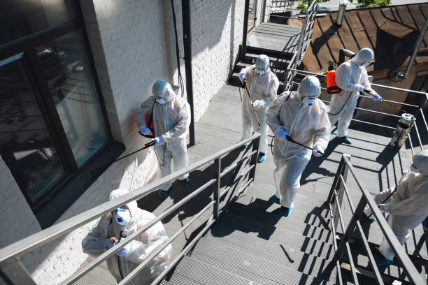 Best Mold Odor Removal Services  in Lockeford, CA