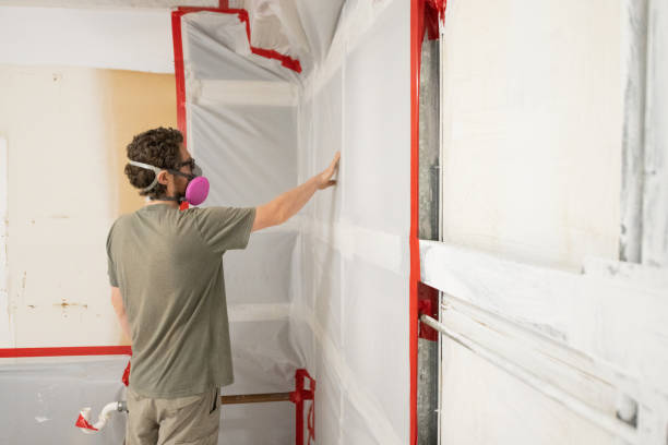 Best Mold Prevention Services  in Lockeford, CA