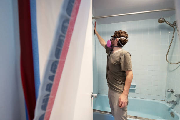 Best Environmental Consulting for Mold Prevention  in Lockeford, CA