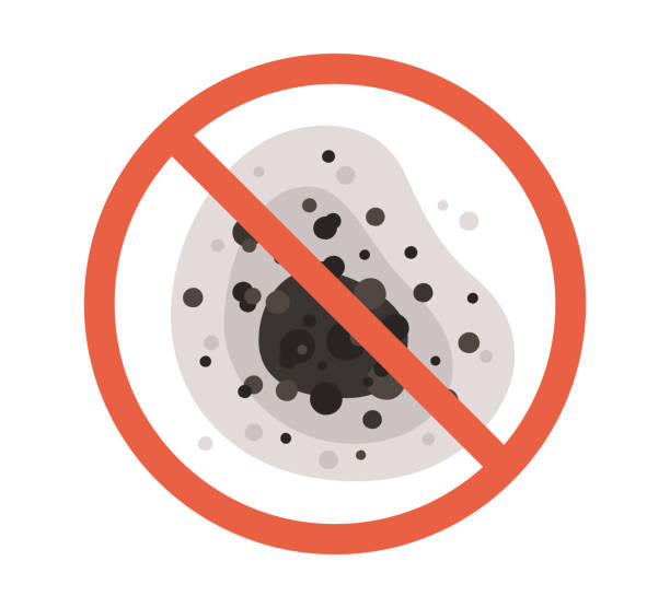 Best Indoor Air Quality Assessment  in Lockeford, CA