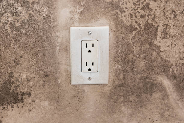 Best Black Mold Removal  in Lockeford, CA